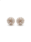 Diamond Earing
